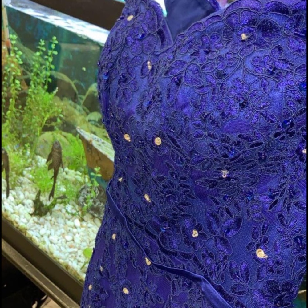 Dress - Picture 4 of 4